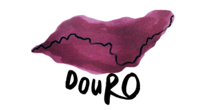 Douro (1).png